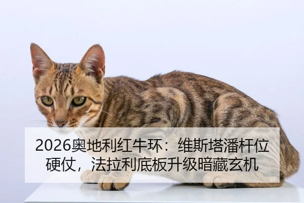 ao-di-li-hong-niu-huan-wei-si-ta-pan-gan-wei-ying-zhang-fa-la-li-di-ban-sheng-ji-an-cang-xuan-ji-2-259.jpg